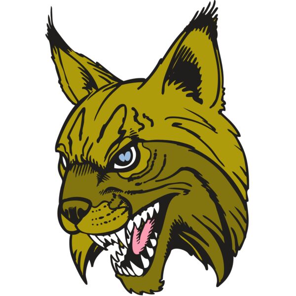 BAW BOBCAT 05 RC Thumbnail